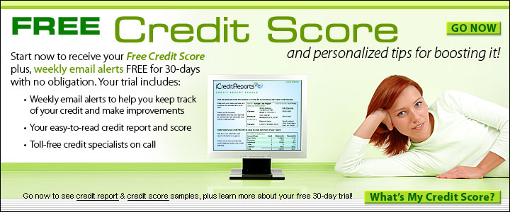 Employment History Credit Report Assets